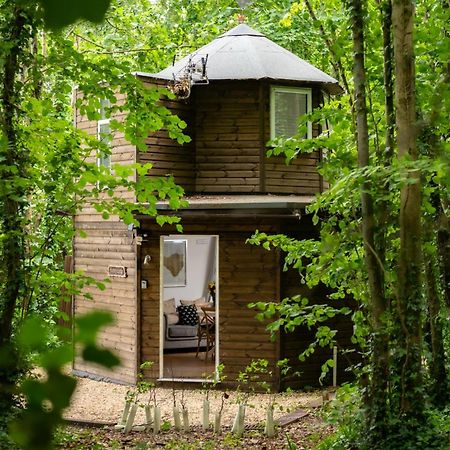 Honeycombe - Treehouse In The Heart Of Dorset Villa Бландфорд Форъм Екстериор снимка