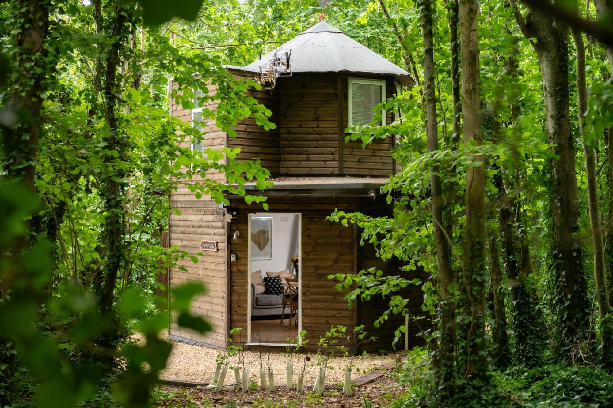 Honeycombe - Treehouse In The Heart Of Dorset Villa Бландфорд Форъм Екстериор снимка