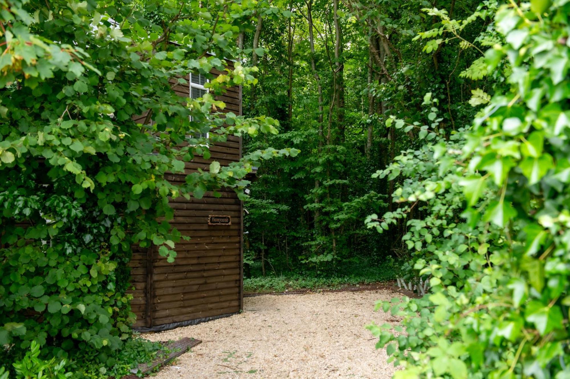 Honeycombe - Treehouse In The Heart Of Dorset Villa Бландфорд Форъм Екстериор снимка