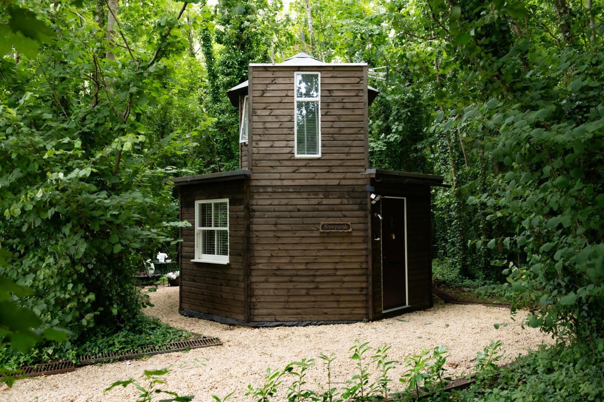 Honeycombe - Treehouse In The Heart Of Dorset Villa Бландфорд Форъм Екстериор снимка